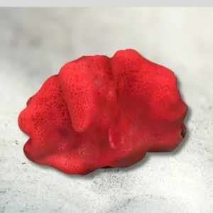 red ball sponge