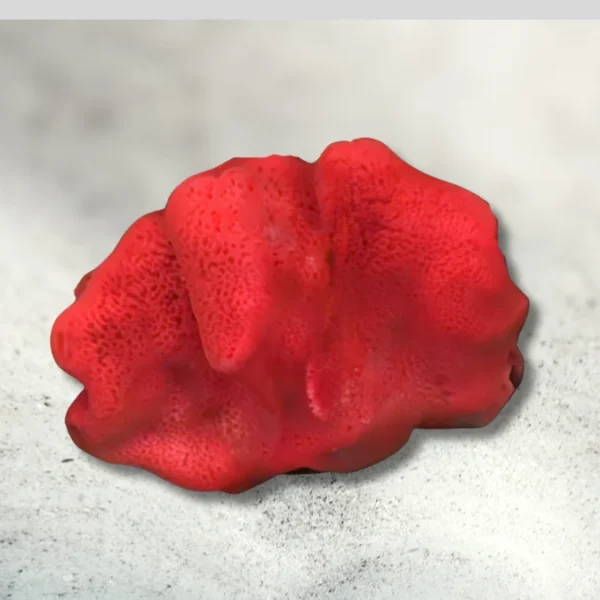 red ball sponge