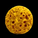 yellow ball sponge