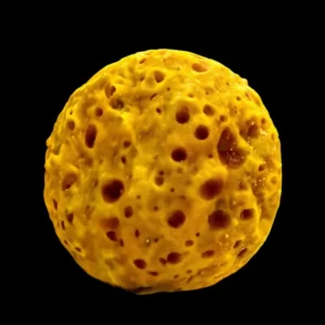 yellow ball sponge for sale